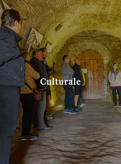 Culturale